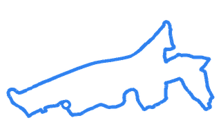 Route shape for Route 8 at Camborne (Cornwall) DTC