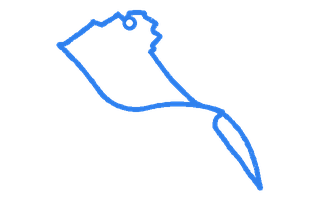Route shape for Route 13 (NEW) at Canterbury DTC