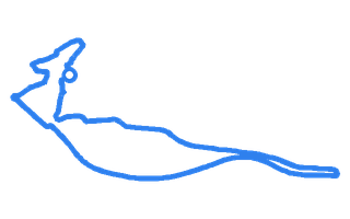 Route shape for Route 1 at Carmarthen DTC