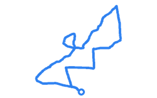 Route shape for Route 6 at Darlington DTC