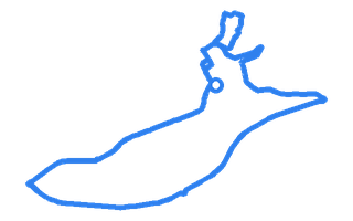 Route shape for Route 9 at Newtown DTC