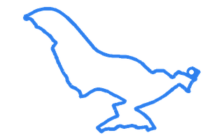 Route shape for Route 3 (NEW) at Wakefield DTC